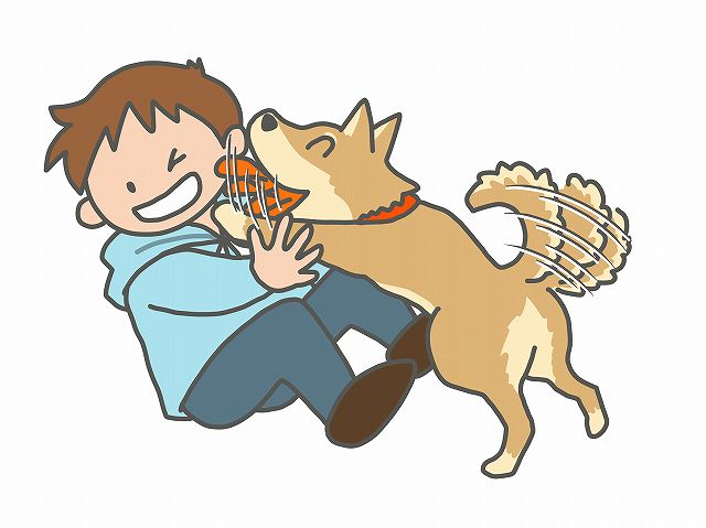 愛犬が飼い主さんの顔や口・手を舐めるのは