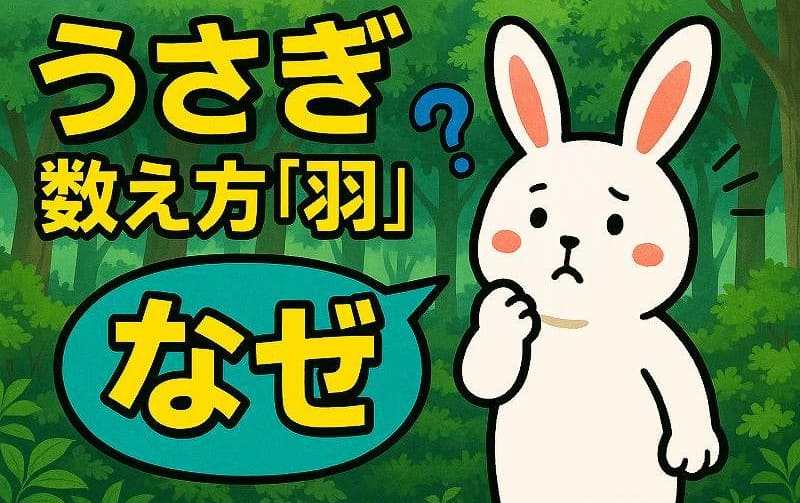 うさぎ数え方