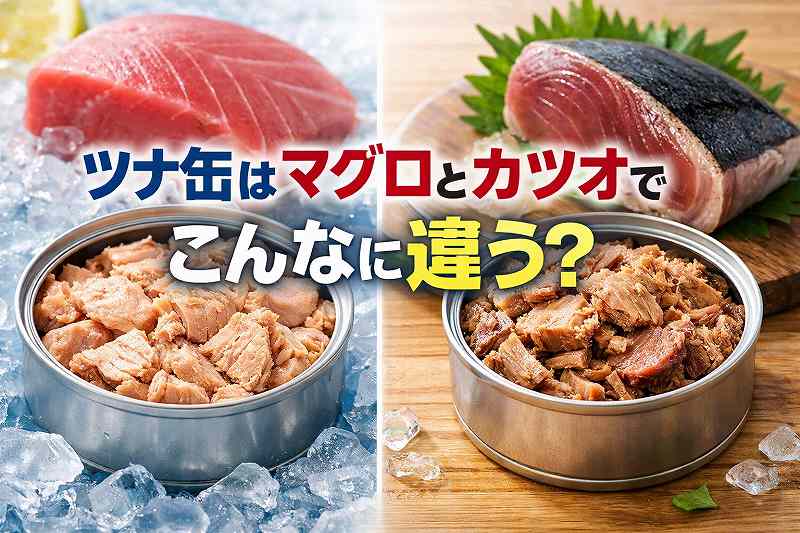 ツナ缶とカツオの違い
